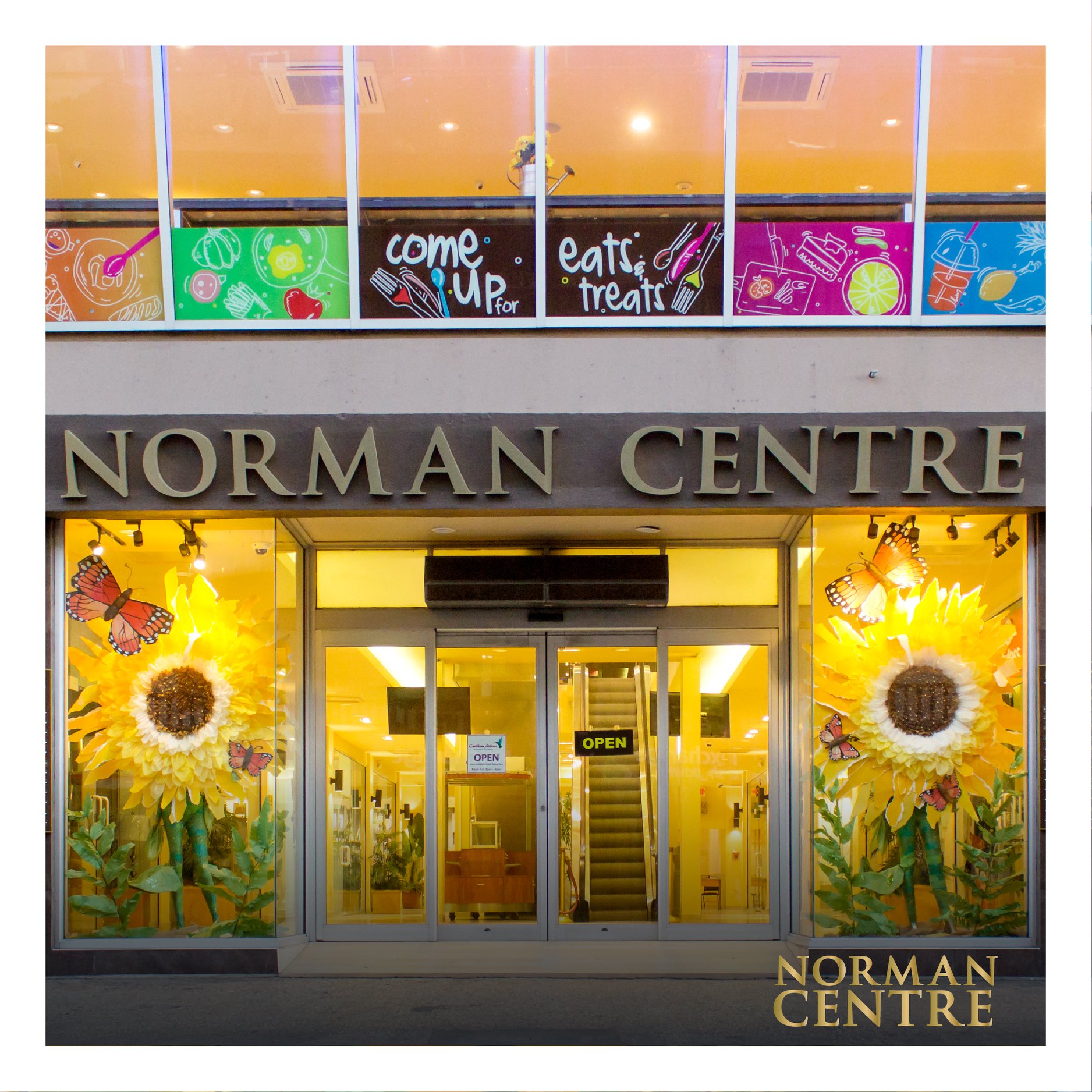 Norman Centre Mall (Norman  Finance-Developments Ltd) - Shopping Centers & Malls