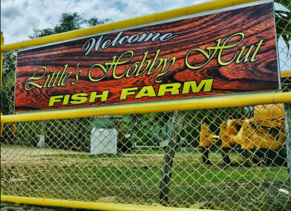 Little Hobby Hut Safari & Fish Farm - Entertainment Facilities