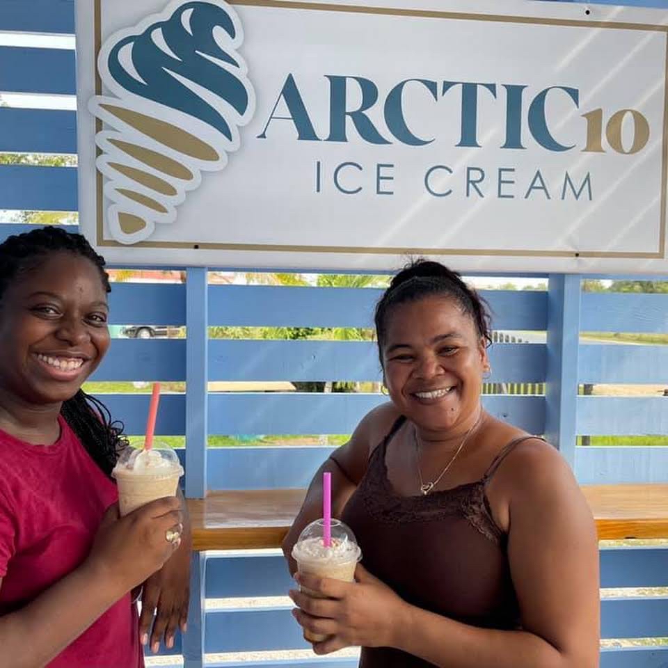 Artic 10 Ice Cream - Ice Cream-Retail