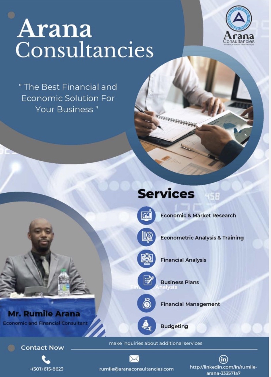 Arana Consultancies - Financial Services