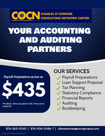 Charles O'Connor Consulting Network Ltd - Accountants & Auditors