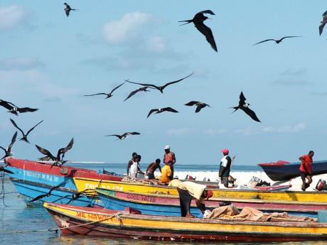Jamaica Fishermen Co-Op Union Ltd - Fishing Tackle & Supplies