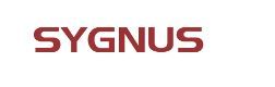 Sygnus Capital Ltd - Inventory Management