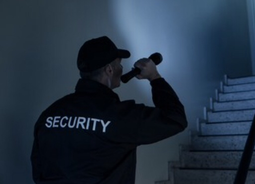 Grenada Security Services Ltd - Security Consultants