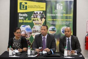 Guyana Office For Investments & Exports - Export Development & Trading