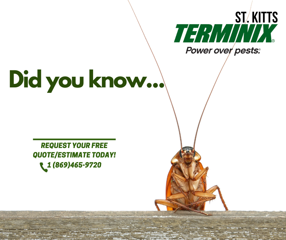 Terminix St Kitts - Pest Control Supplies & Equipment