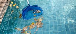 Quality Water Treatment - Swimming Pool Service & Maintenance