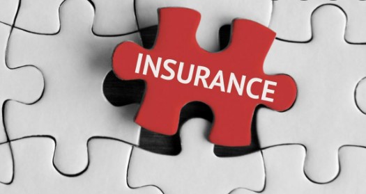 CGM Gallagher Insurance Brokers (St Vincent) Ltd - Insurance Companies