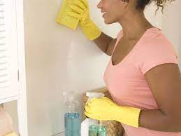 Pure Cleaning Professionals - Cleaners