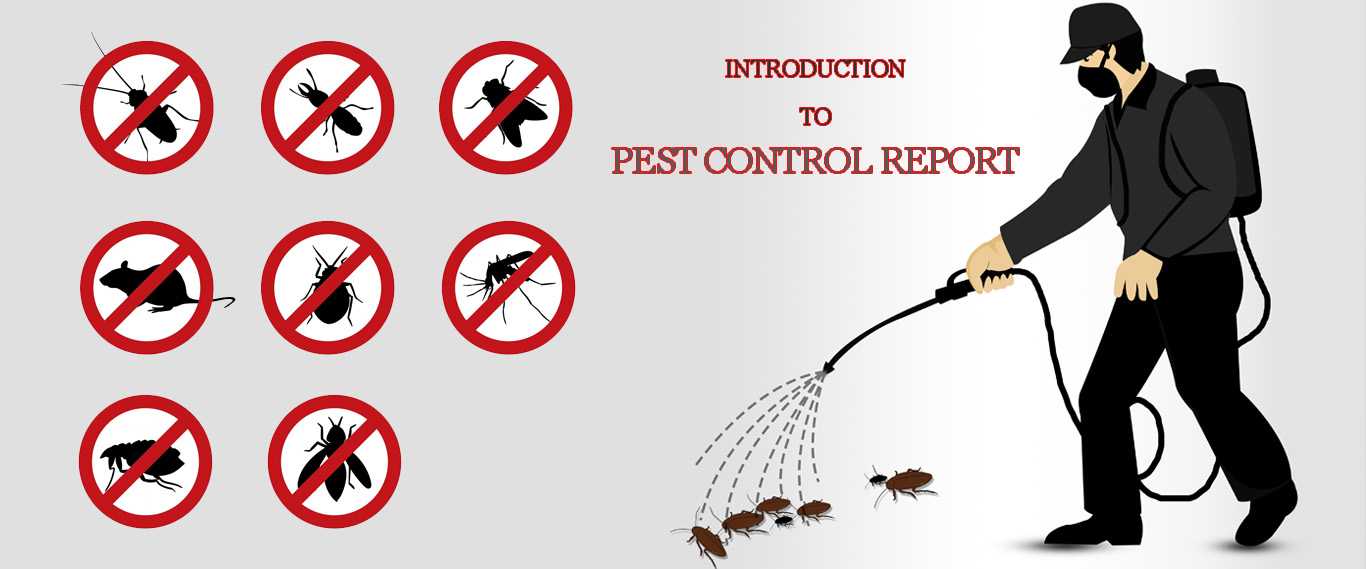 Early Bird Exterminating Co Ltd - Pest Control Services & Exterminator Services