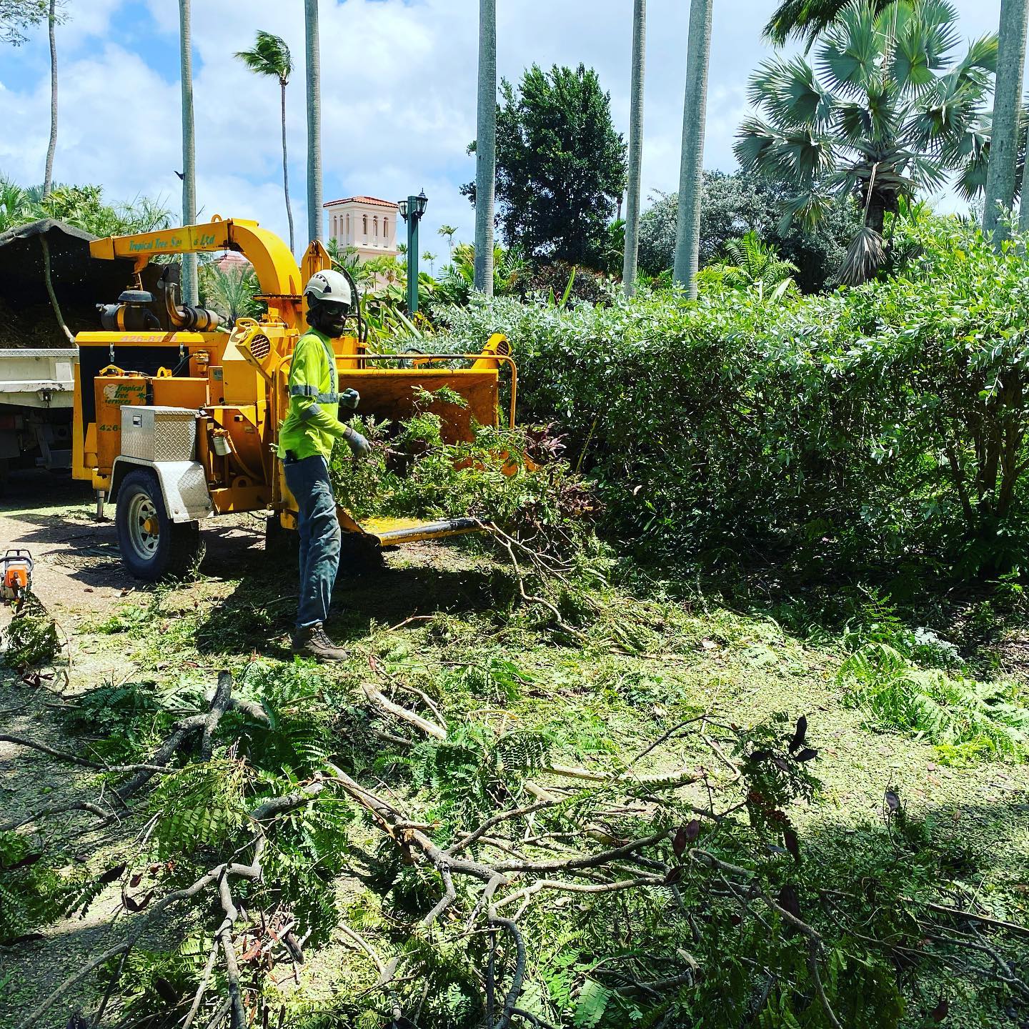 Tropical Tree Services - Tree Service, Equipment & Supplies