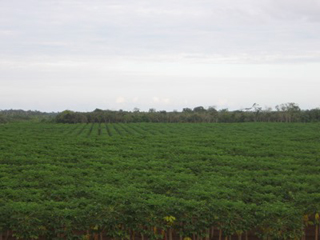Agrobase - Agricultural Chemicals