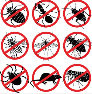 Central Pest Control - Pest Control & Exterminator Services