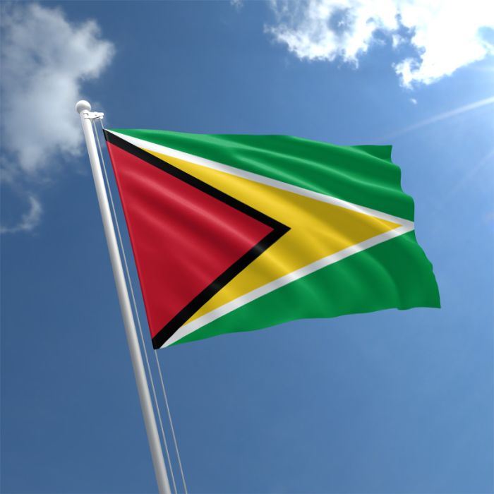 Guyana Consulate - Consulates, Embassies & Foreign Government Representatives