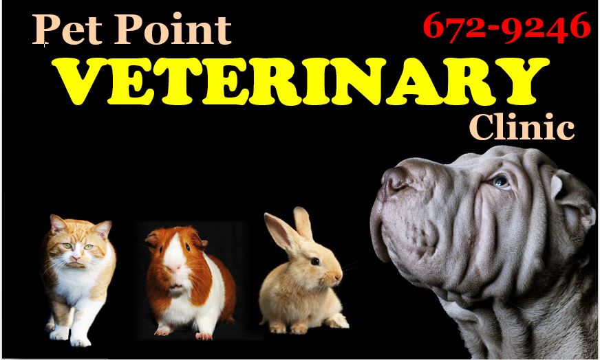 Pet Point Vet Clinic - VETERINARY CLINIC