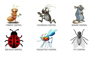 J&P Pest Control Ltd - PEST CONTROL