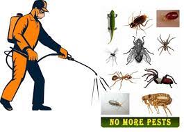 Integrated Pest Services Limited - JANITORIAL SERVICE