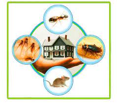 Tobago Pest Specialist - PEST CONTROL