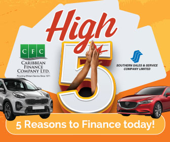 Caribbean Finance Co Ltd - FINANCIAL INSTITUTIONS