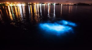 glistening-waters-luminous-lagoon