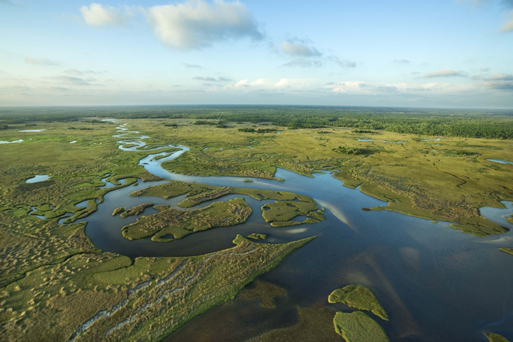 Aerial view of the Everglades in Florida.