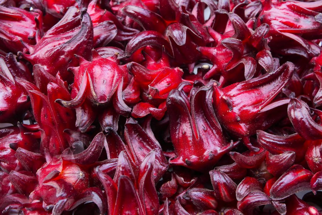 Findyello article on Caribbean Christmas recipes with image showing sorrel buds.