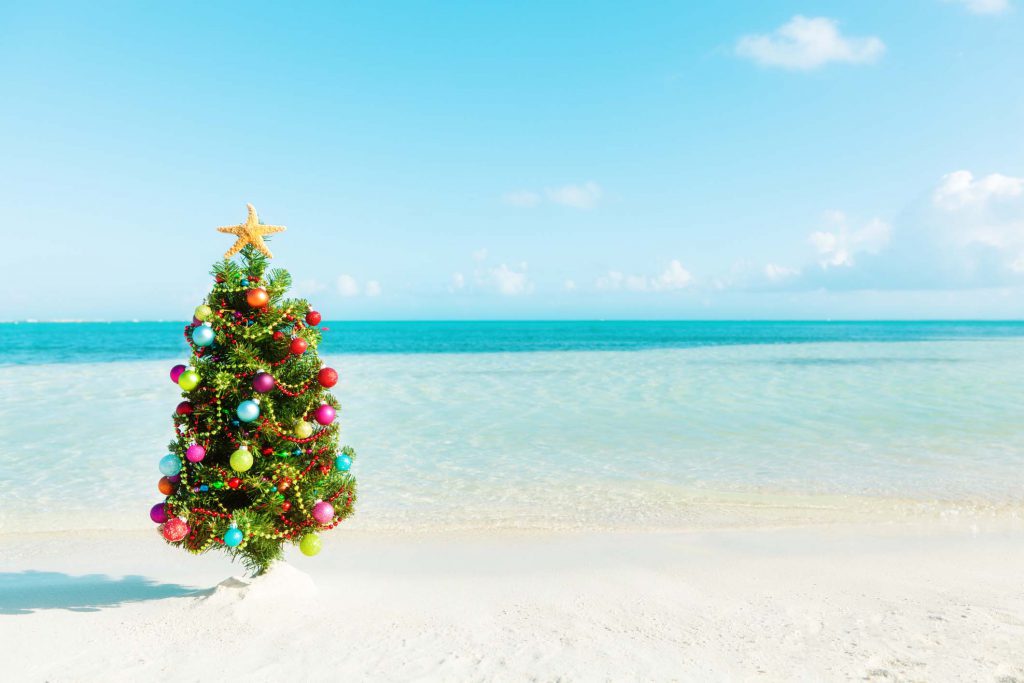 A Christmas tree on a beach