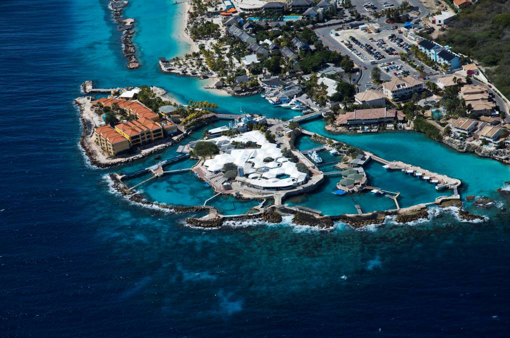 Findyello interview with the Dolphin Academy Curaçao image of grounds and Sea Aquarium