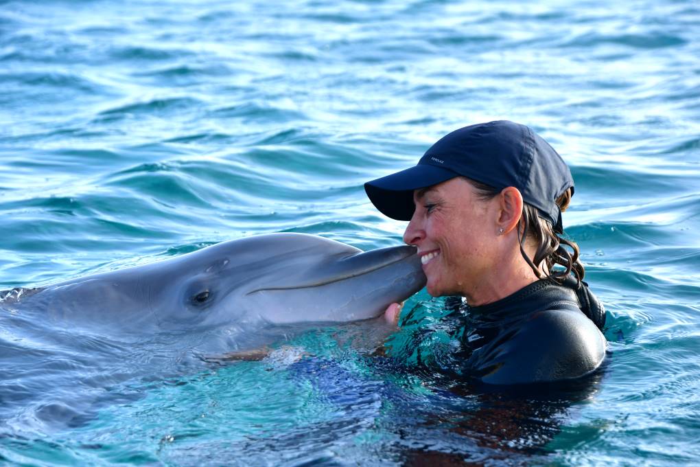 Findyello interview with the Dolphin Academy Curaçao image of dolphin and trainer