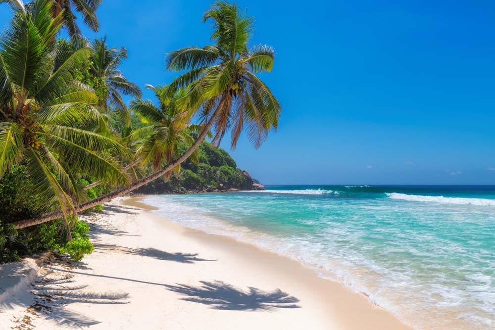 A beach in Jamaica