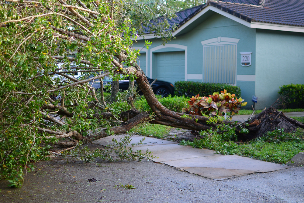 Check Out These 20 Safety Tips on How to Clean Up Before and During a Hurricane