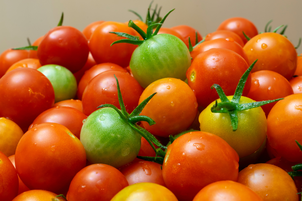 Findyello article with tips to have your fresh produce last longer with image of ripe and unripe tomatoes.
