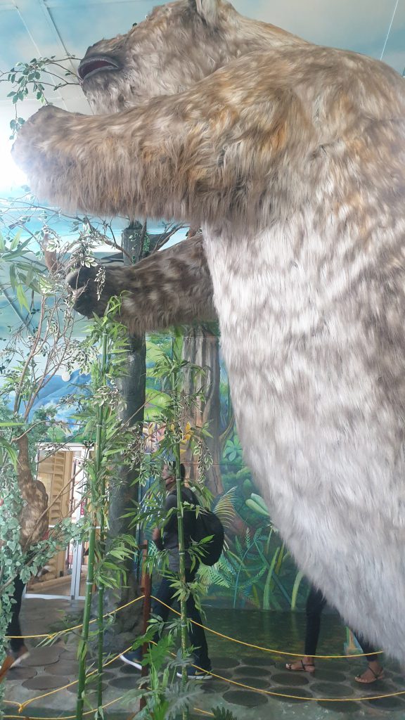 Mega Sloth in Guyana National Museum