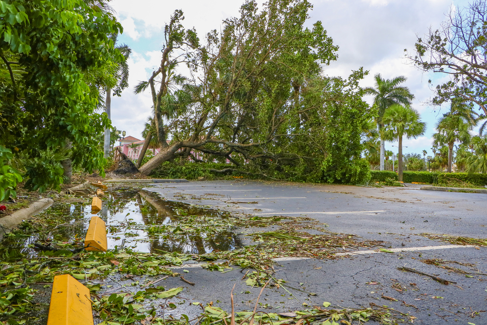 Important Safety Tips to Keep in Mind Before and During Cleaning-Up this Hurricane Season