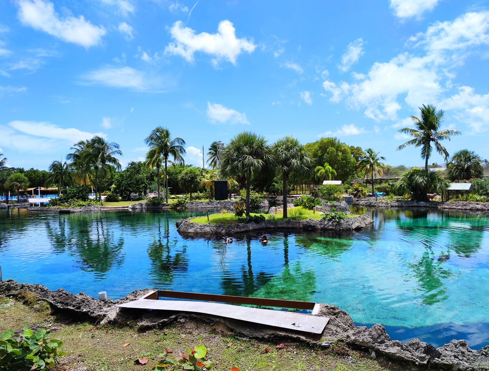 The Lagoon at the Cayman Turtle Centre, West Bay Grand Cayman