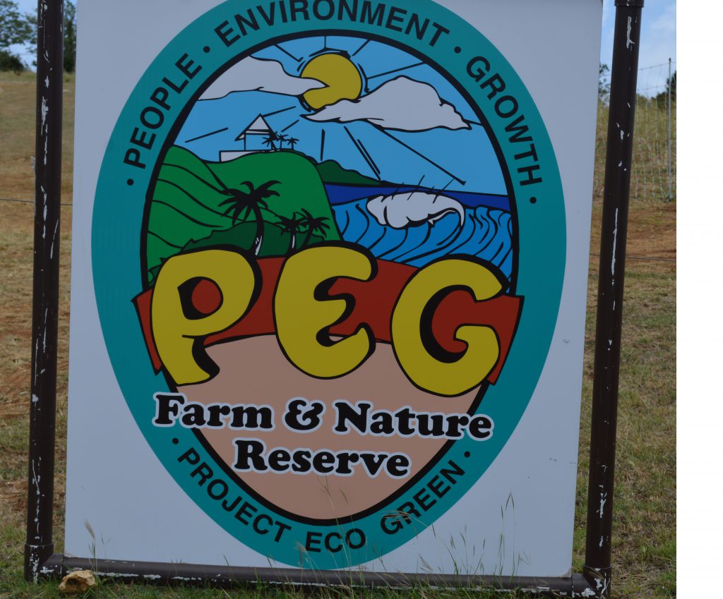 Peg Farm and Nature Reserve