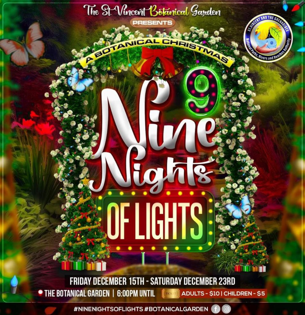 Nine Nights of Lights 2023