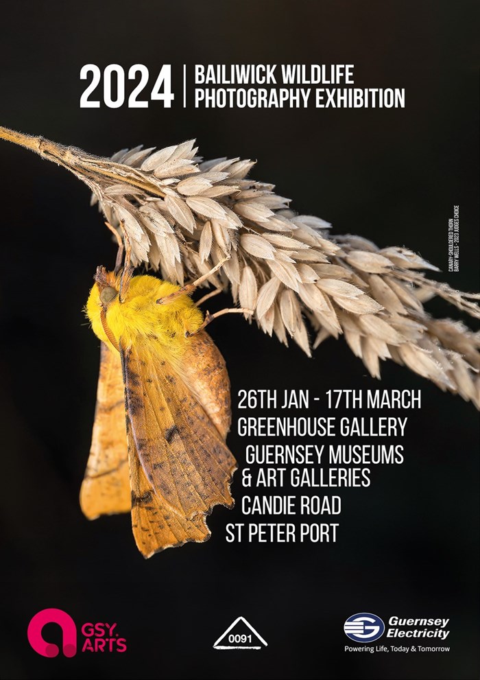 Bailiwick wildlife photography exhibition 2024